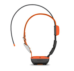 garmin-alpha-t20-gps-collar-gps-tracking-garmin-162378_medium